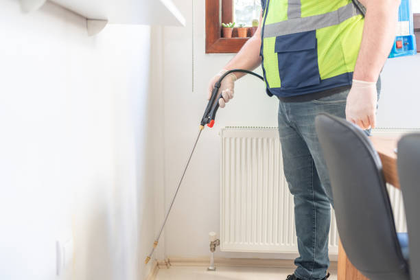 Best Flea Control Services  in Davie, FL